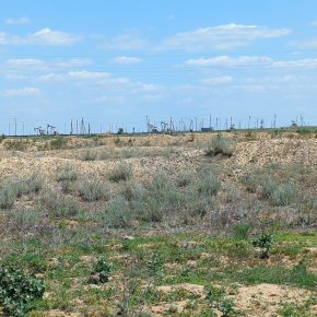 Pumpjacks in Kokzhide, Kazakhstan.