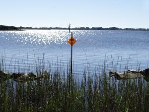 Living Shorelines1